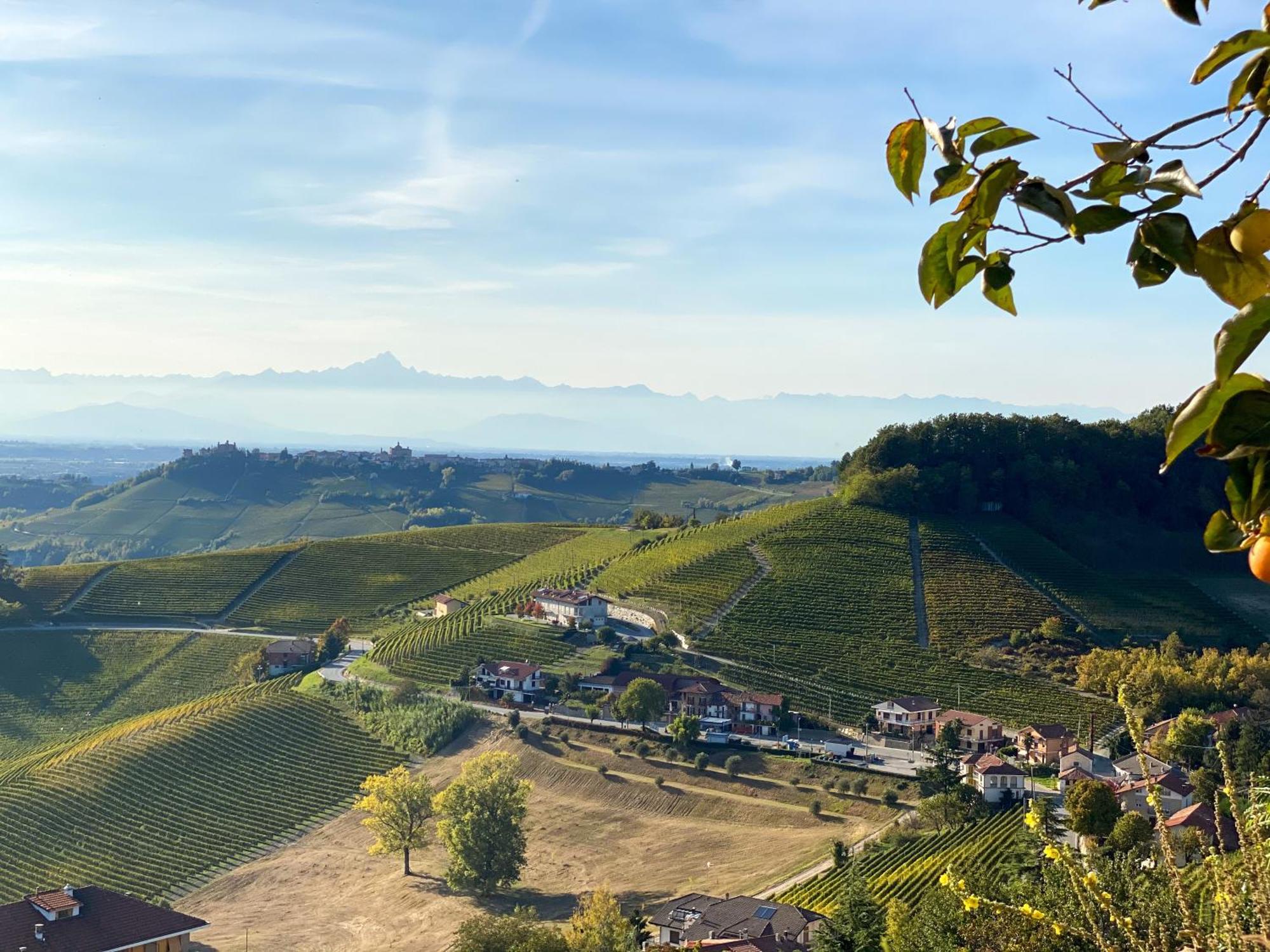 Langhe Wine & Relax Villa Novello Eksteriør billede